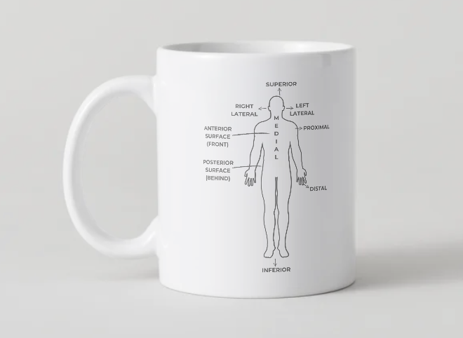 Inside the Cadaver Lab – Anatomical Reference Mug