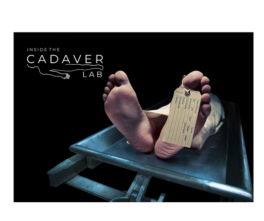 Inside the Cadaver Lab – Mouse Mat