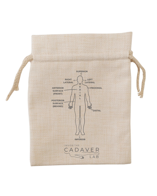 Inside the Cadaver Lab – Headphone & Charger Pouch