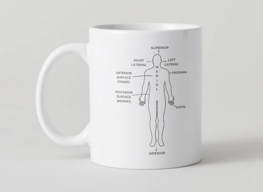 Inside the Cadaver Lab – Anatomical Reference Mug